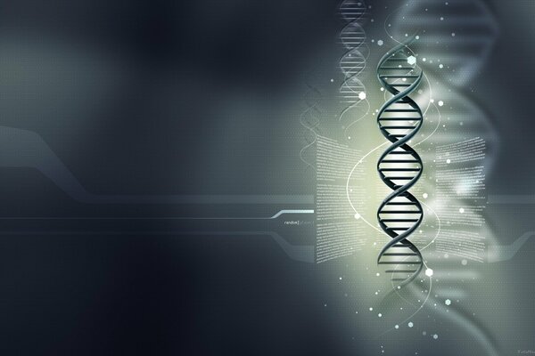 A dna chain on a gray background