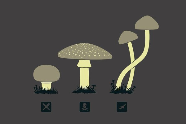 Hallucinogenic mushrooms with icons on a gray background