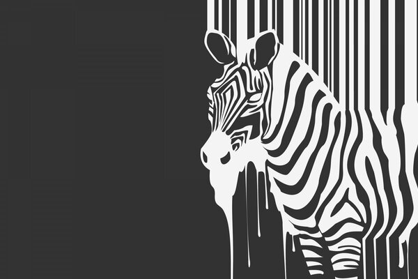 Minimalismo, zebra con diffusione strisce bianche su sfondo nero