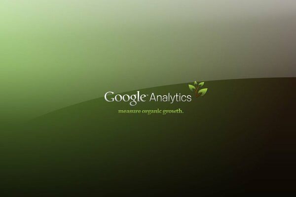 Grüner Google Analytics-Schriftzug