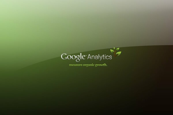 Inscripción verde google analytics