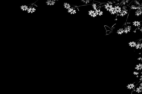Flores y mariposa sobre fondo negro