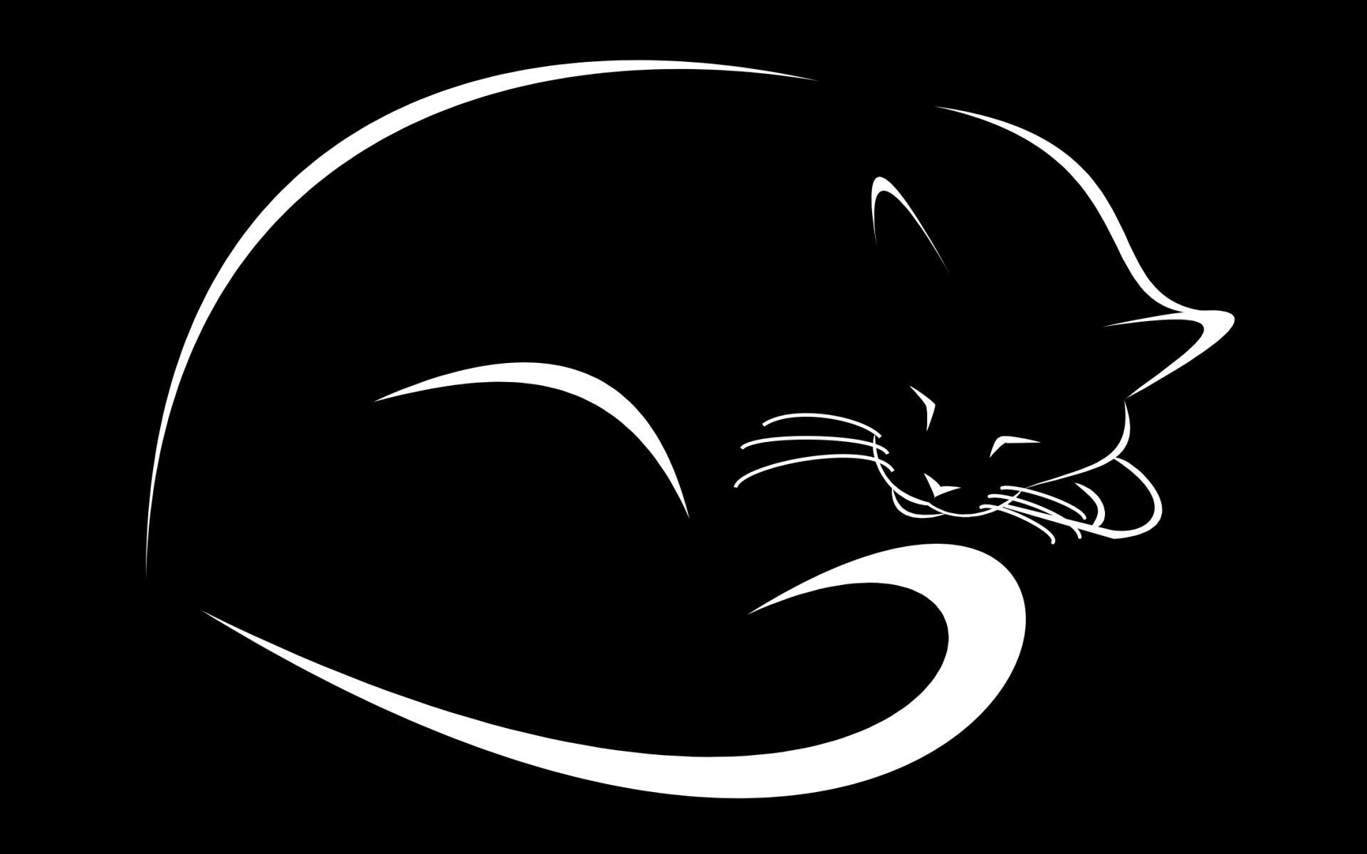 fond noir chat dessin