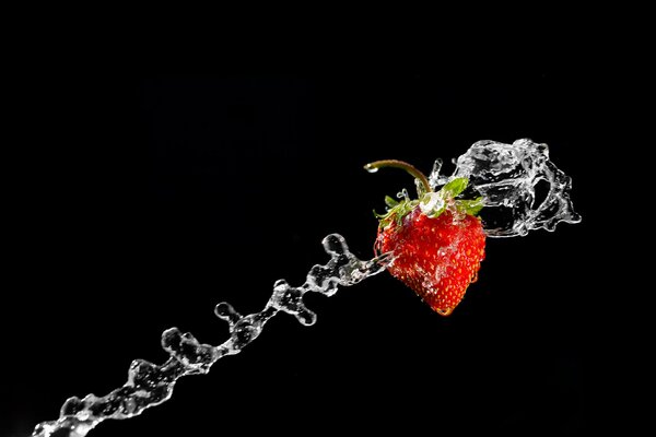 Splashing water and flying strawberries