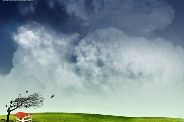 Vol et nuages monde merveilleux