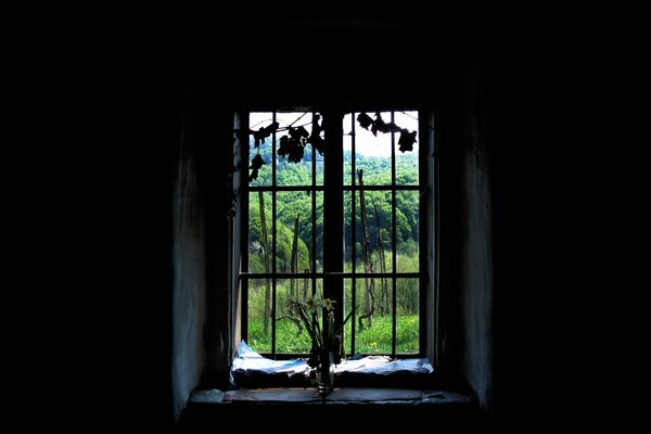 Vista dalla finestra della casa sulla foresta