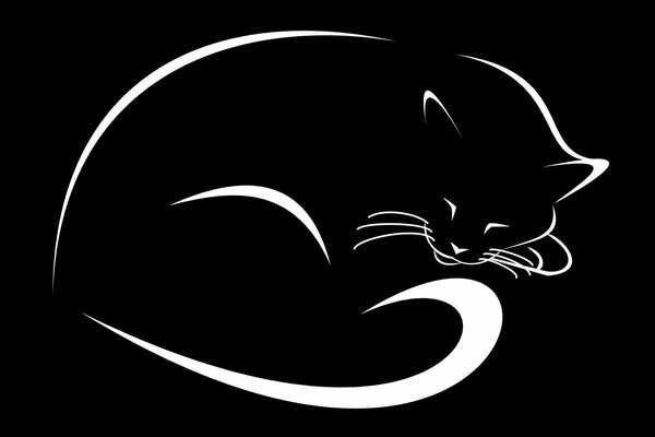 Black Cat- white tail