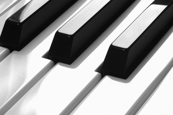 Hermosa combinación de teclas de piano blanco y negro