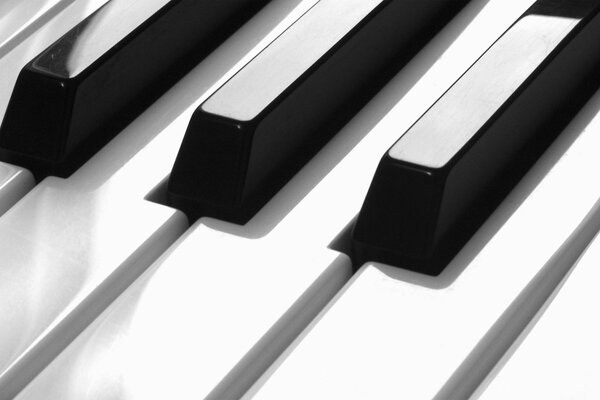 Belle combinaison de touches de piano blanc et noir
