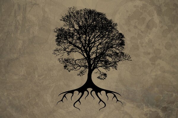 Rozgałęzione, wiekowe drzewo z korzeniami