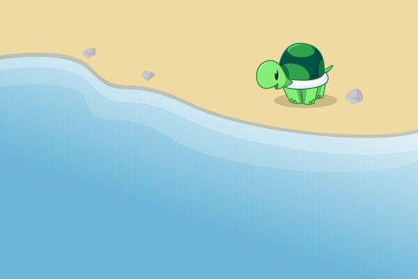 Eine grüne Schildkröte steht auf dem Sand und schaut auf das Wasser