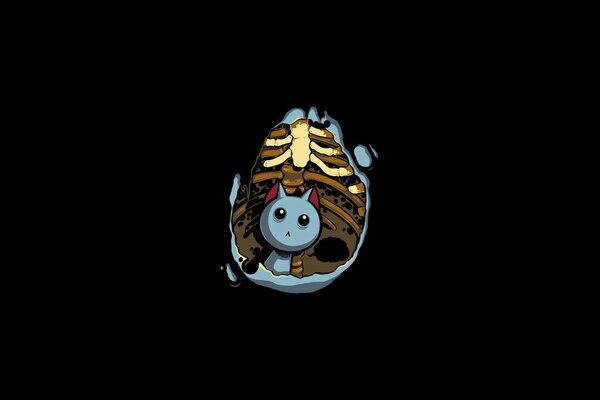 Cat in the stomach on a black background