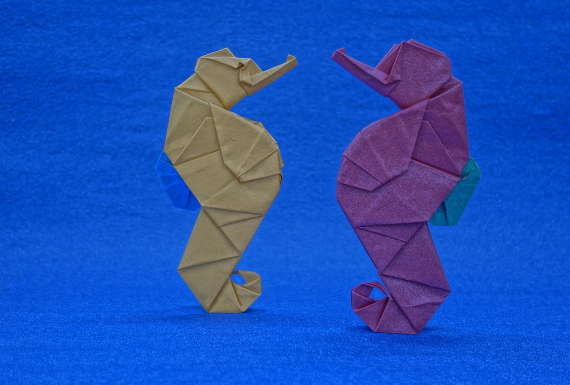 origami paper seahorses background