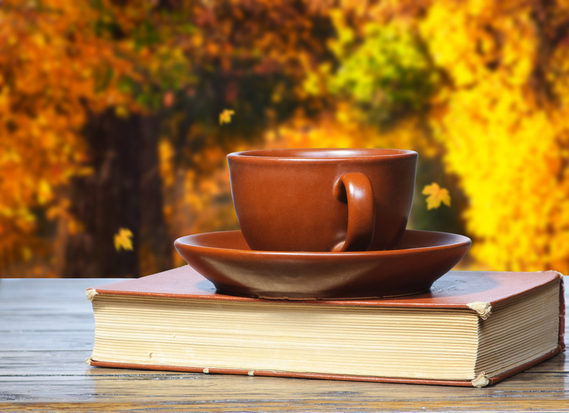 coffee cup books book autumn