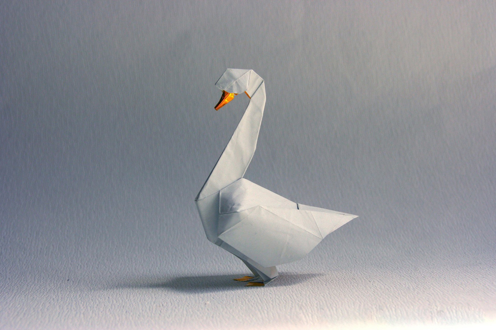 origami cygne blanc ombre gris