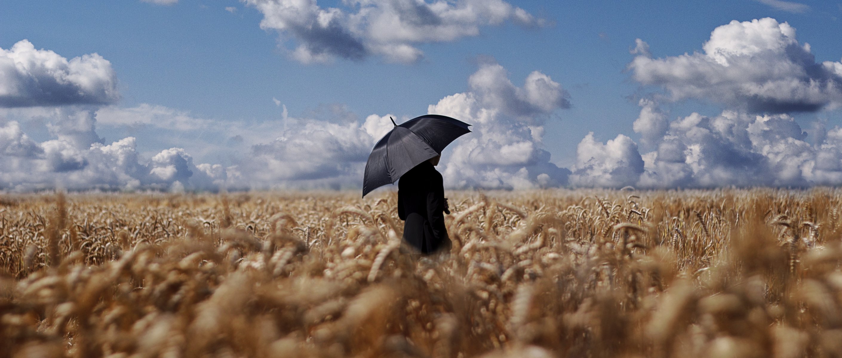 the field men umbrella wheat field horizon clouds sky