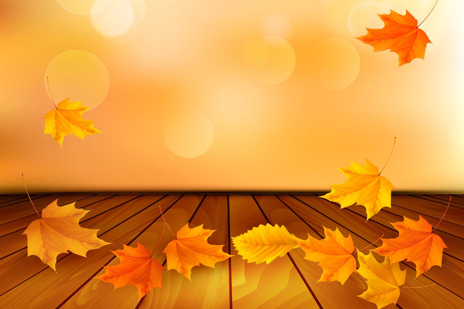 autumn leaves maple autumn background