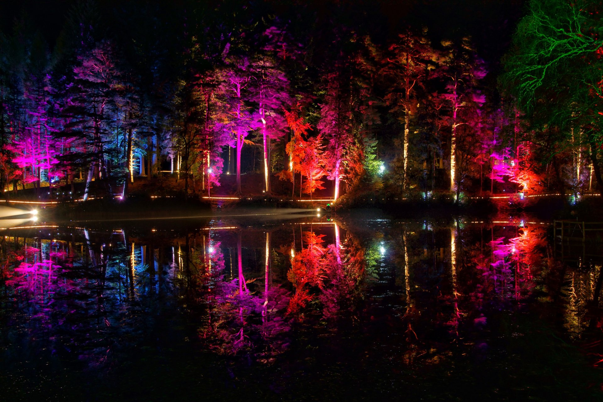 notte parco stagno luci colore alberi