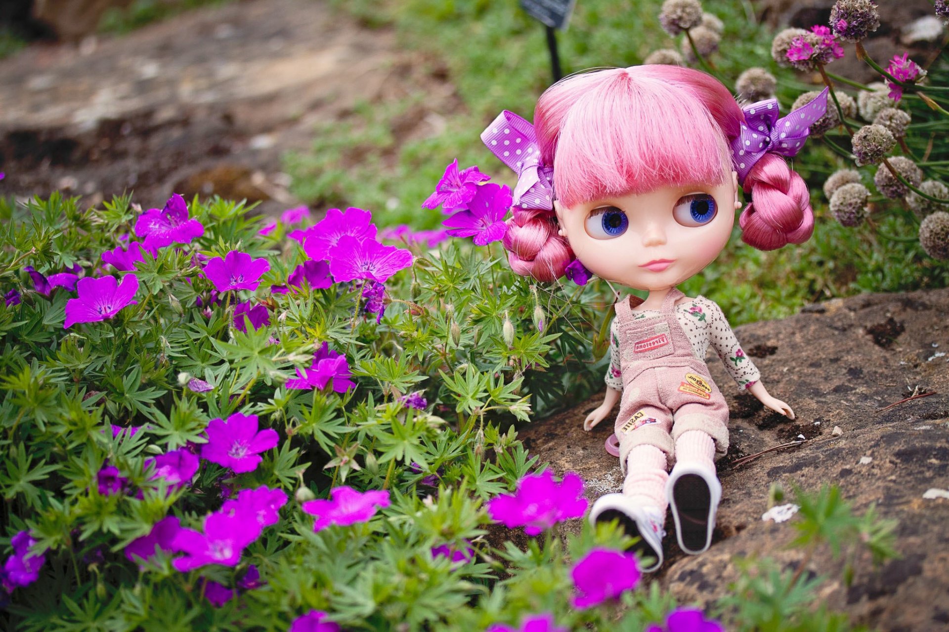 bambola giocattolo capelli rosa sguardo si siede pietra fiori