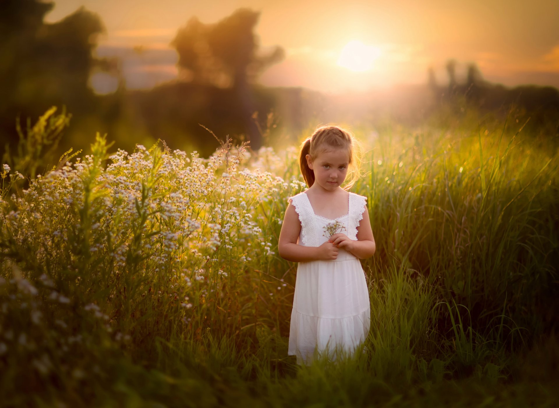 fille été champ herbe