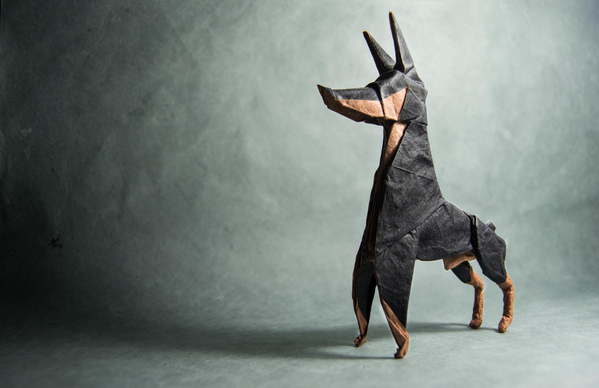 origami perro doberman sombra gris