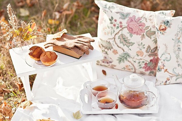 Picnic in autunno in un prato tra foglie ed erba