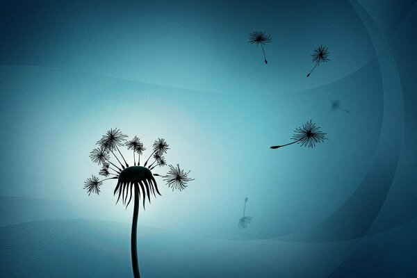 This is what a night dandelion looks like