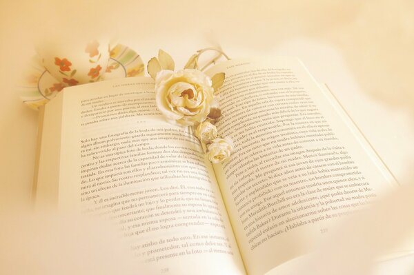 A book with white flowers on a white background