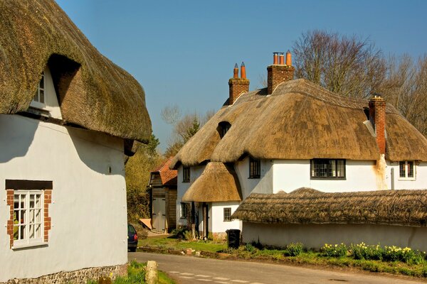 Two white houses with an unusual roof and chimneys