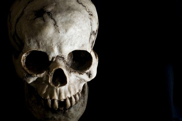 A terribly beautiful skull on a black background