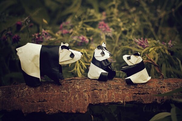 Funny family of panda bears on a branch