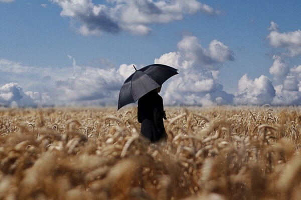 Auf einem Weizenfeld ein Mann mit einem schwarzen Regenschirm