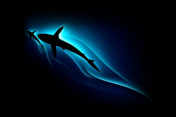 Silueta minimalista de tiburón azul