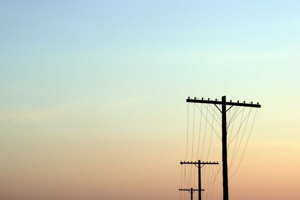 Lignes d elektoenredach au coucher du soleil