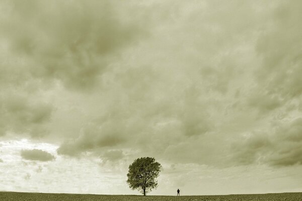 Graue Landschaft mit einem Baum und einem traurigen Mann