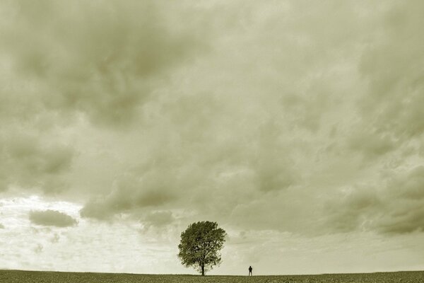 Paesaggio grigio con albero e uomo triste