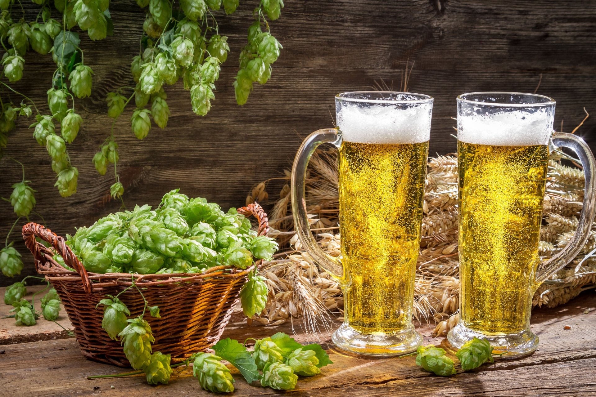 mugs beer foam light hops basket