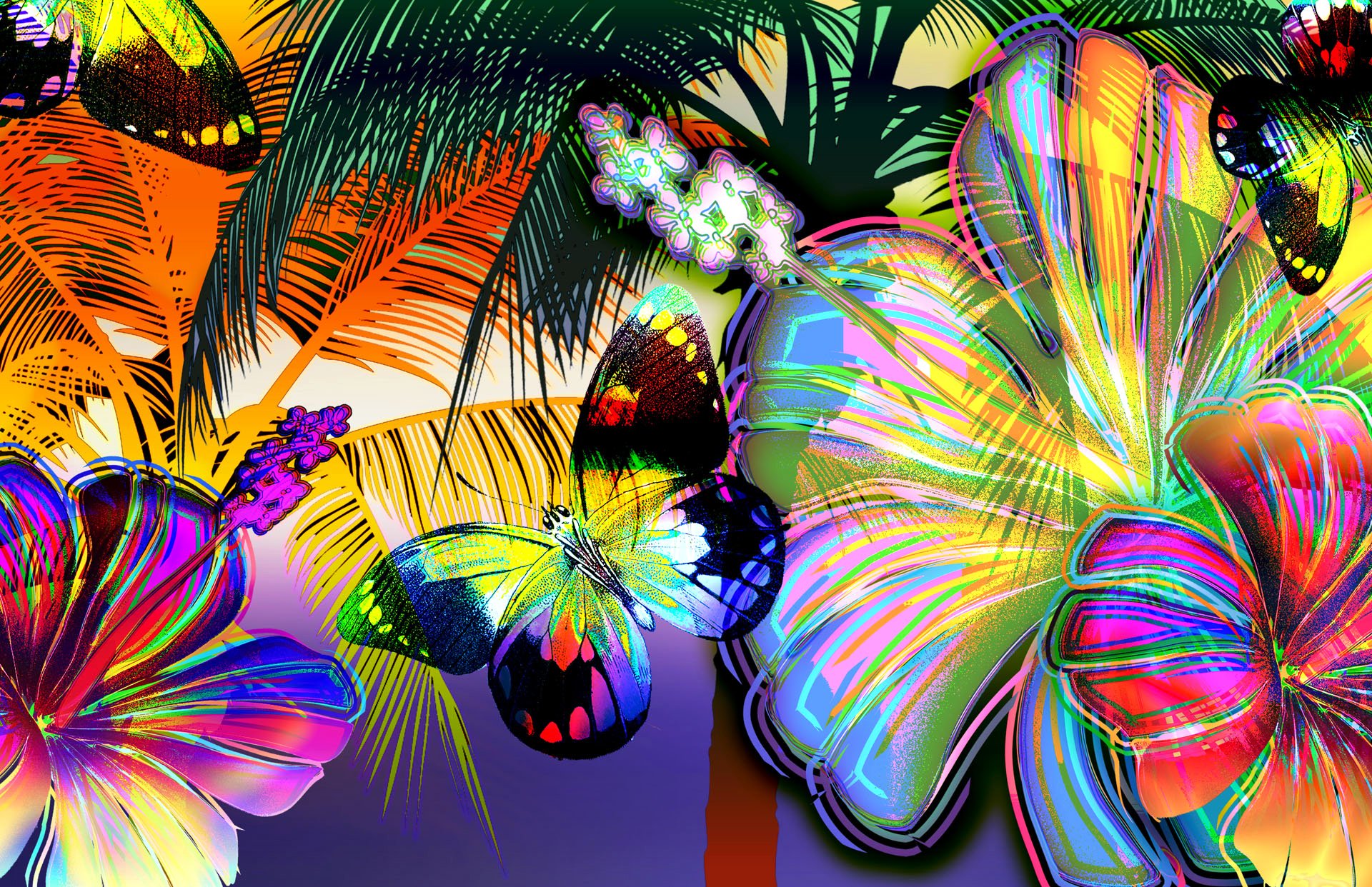 arte flores mariposa dibujo palma