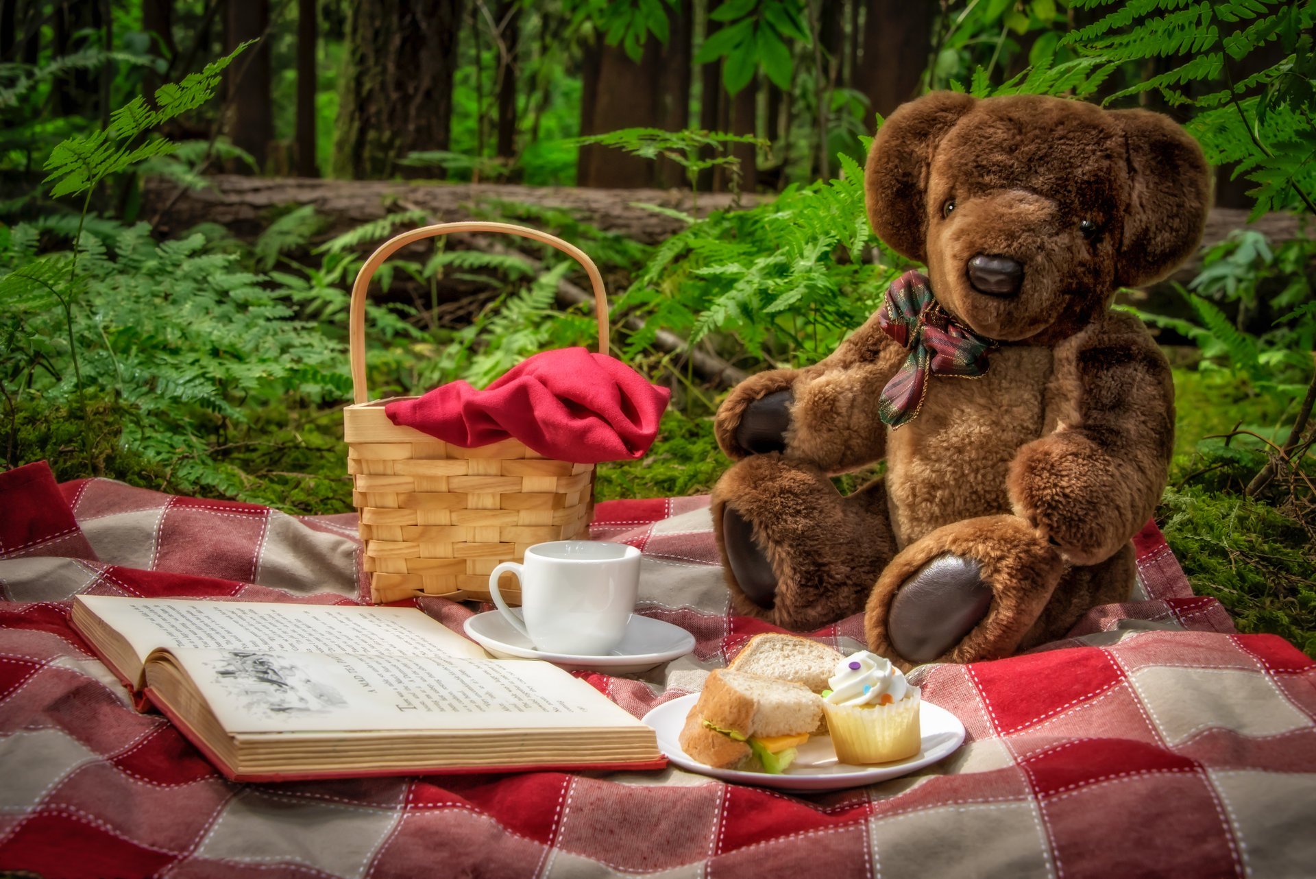 picnic orsacchiotto orso giocattolo cestino libro tazza panini natura