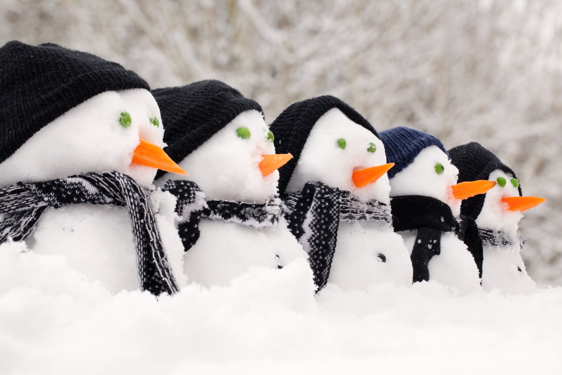 bonhommes de neige chapeaux foulards carottes neige