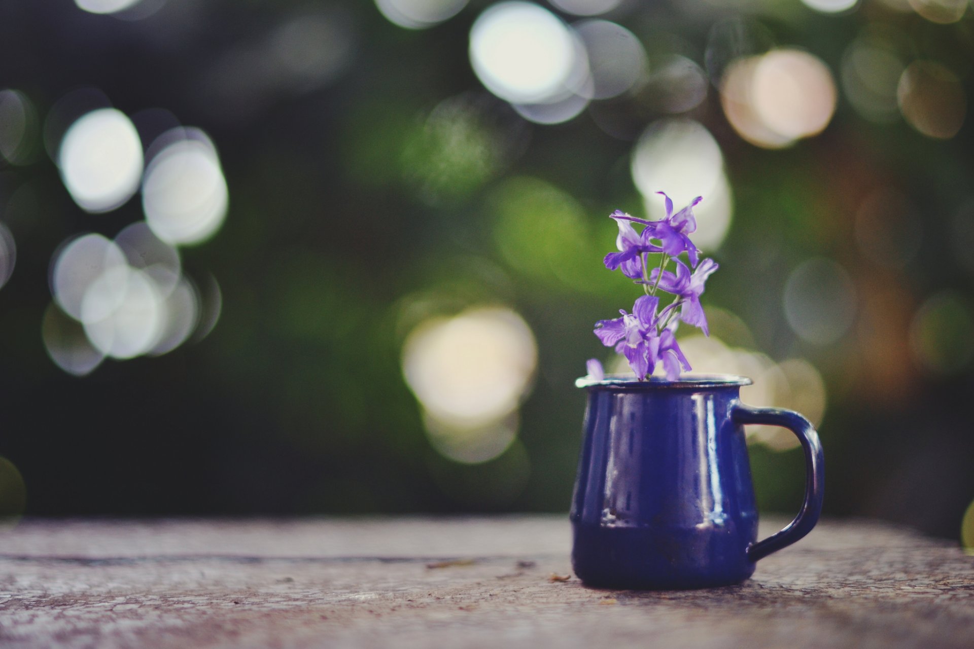 tasse fleur violet éblouissement