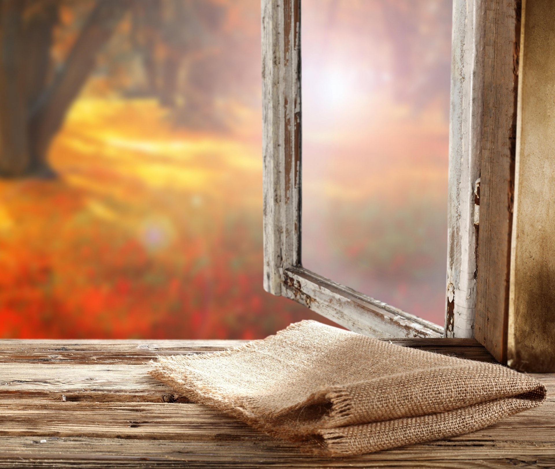 window the window sill autumn burlap