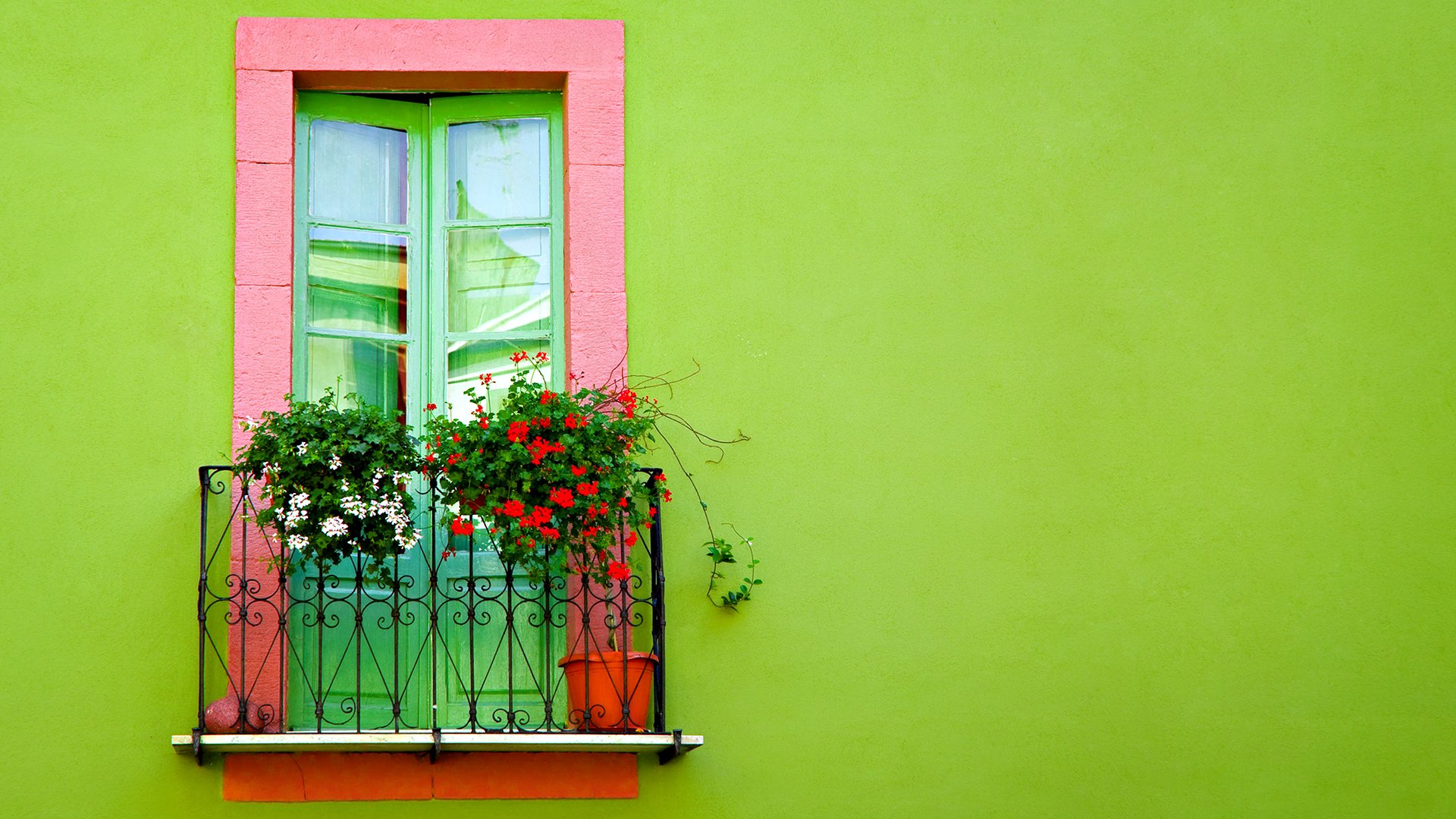 balcon portes fleurs mur vert clair