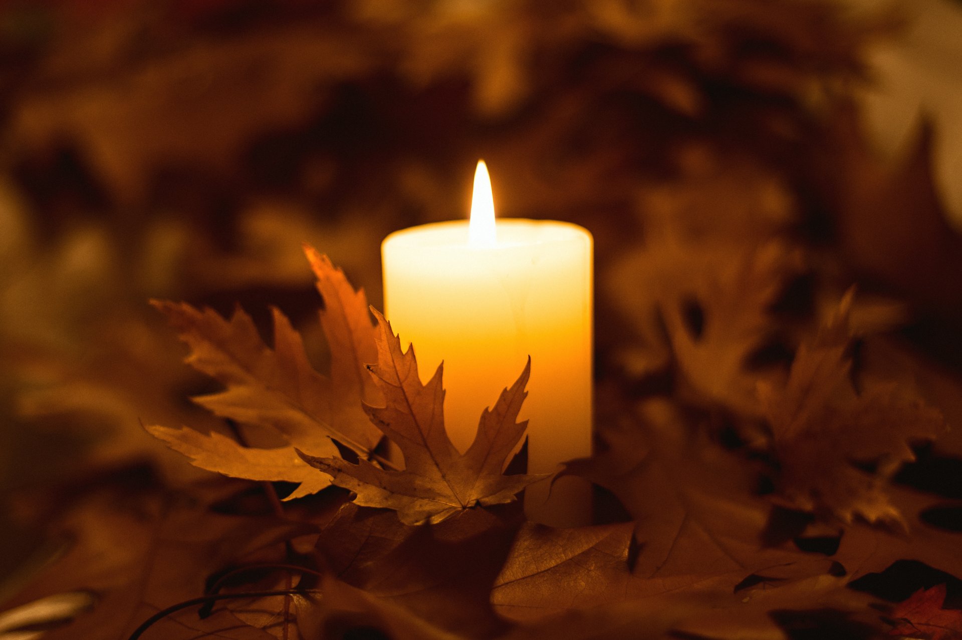 bougie feu feuilles automne