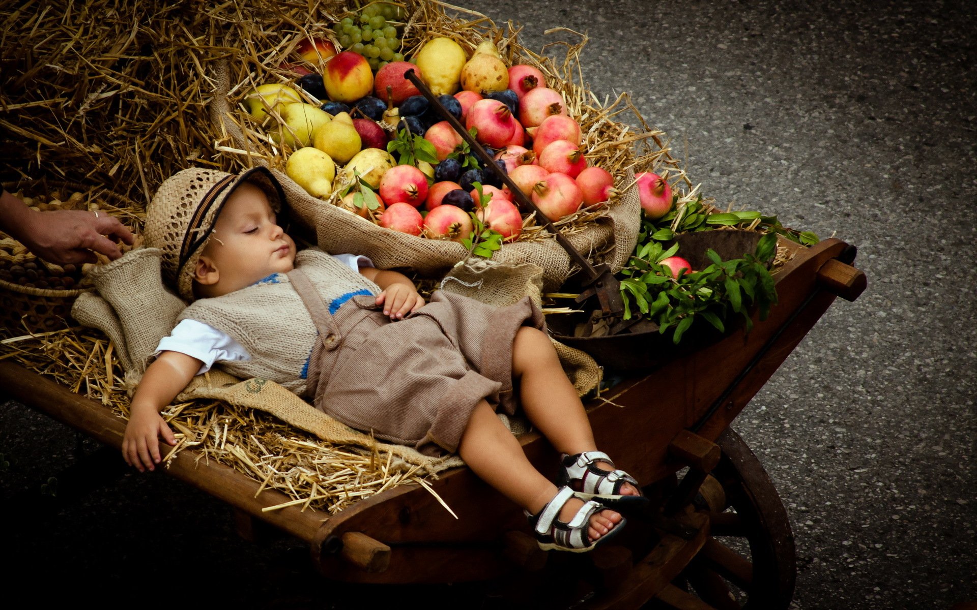 boys stroller fruit