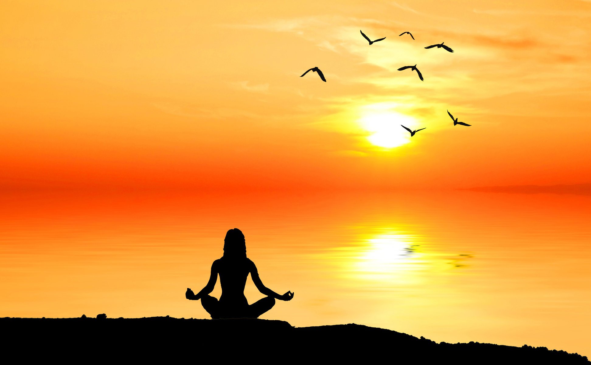 silhouette uomo meditazione meditazione contemplazione meditazione natura alba bellissimo sfondo carta da parati