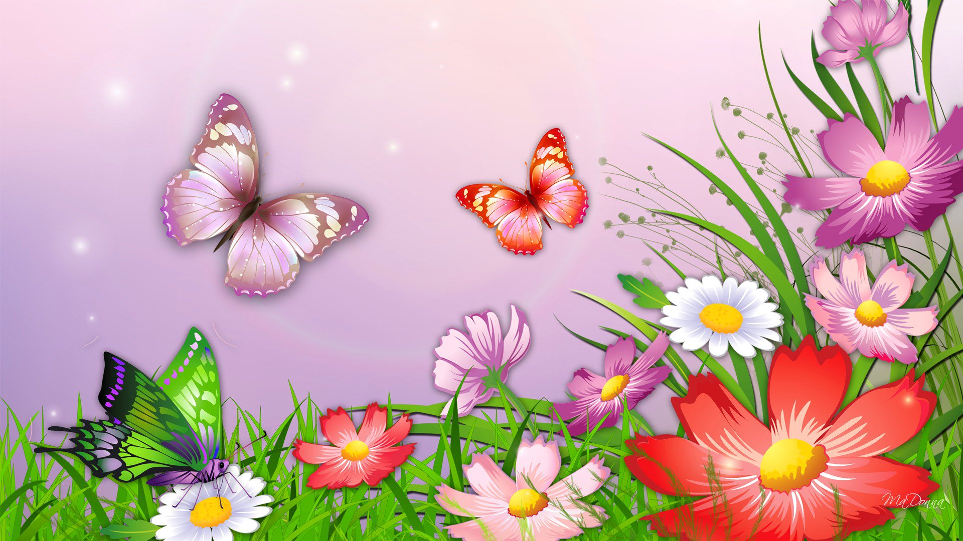 nature grass flower butterfly picture vector