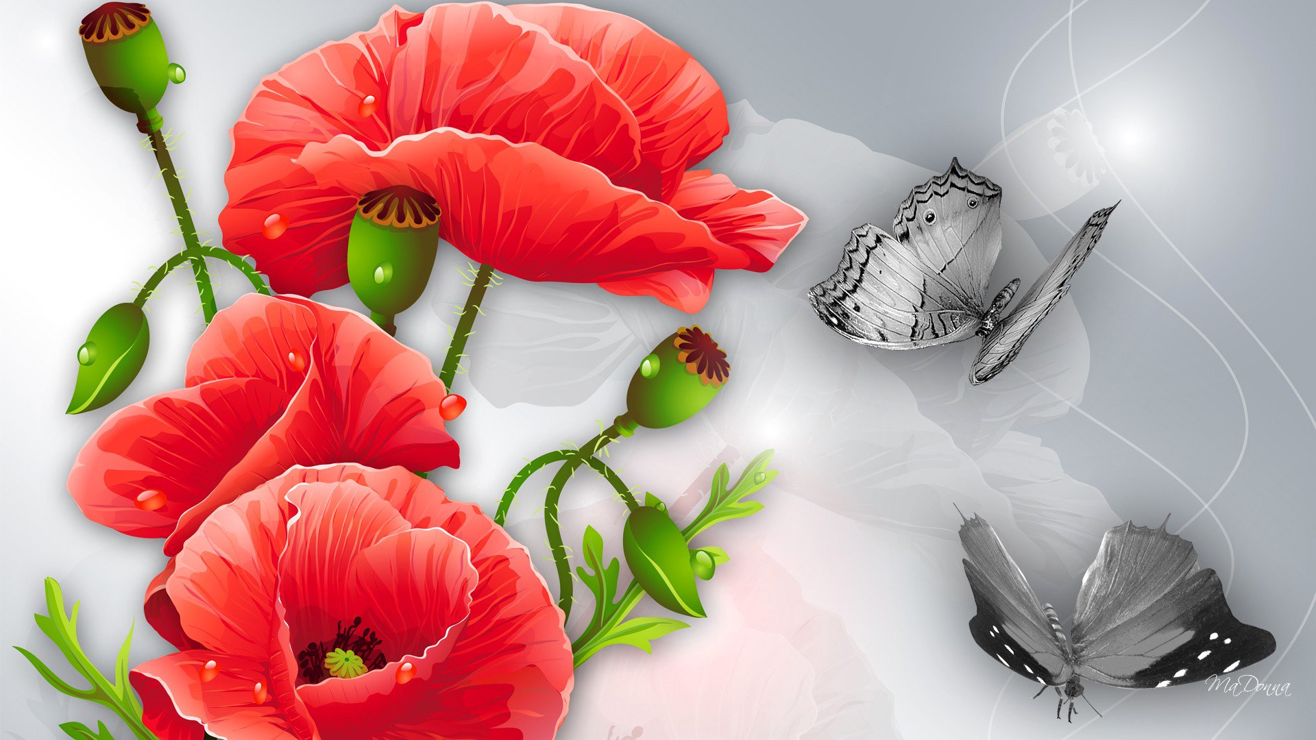 fleurs coquelicots papillon collage dessin vecteur