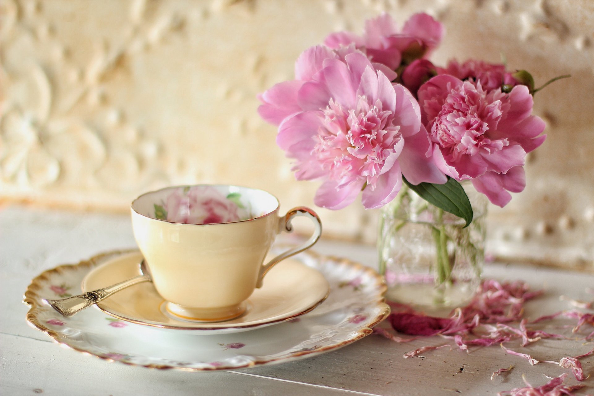 flower peonies petals cup saucer
