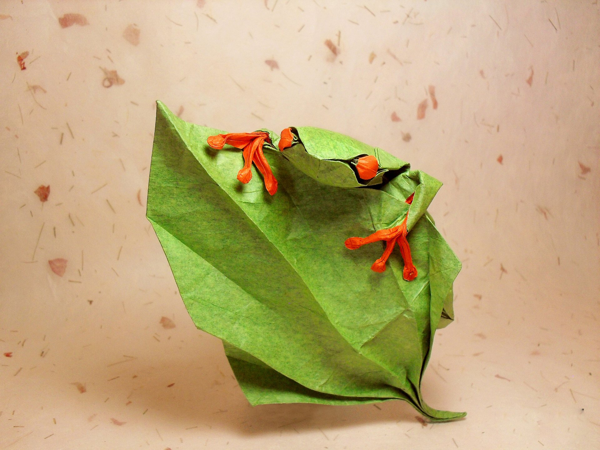 origami rana ojos hoja subir verde hojas subir